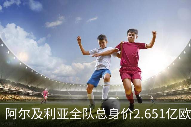阿尔及利亚全队总身价2.651亿欧，26名球员中马扎的4500万欧最高